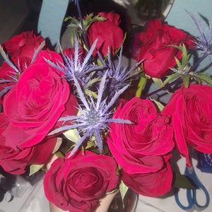 Meet your Posher, Mattie